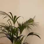 El Puertito Retreat Apartamento Agaete (Gran Canaria)